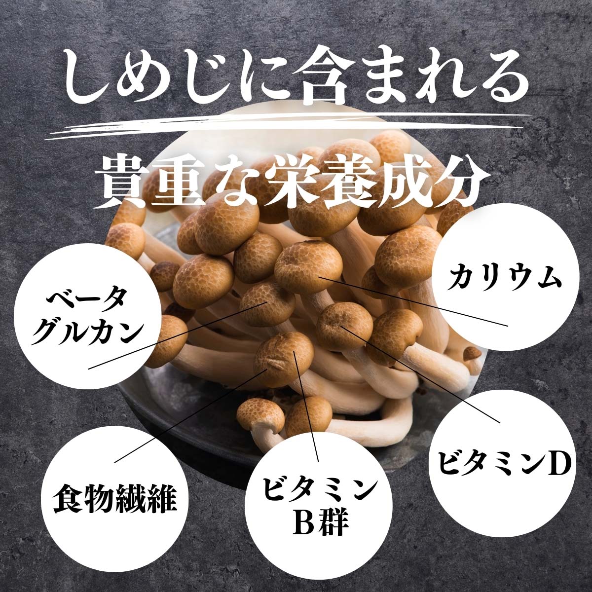 しめじに含まれる栄養成分