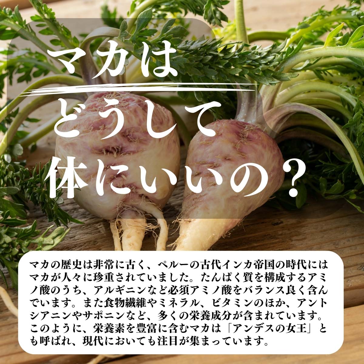 マカはどうして体にいいの？