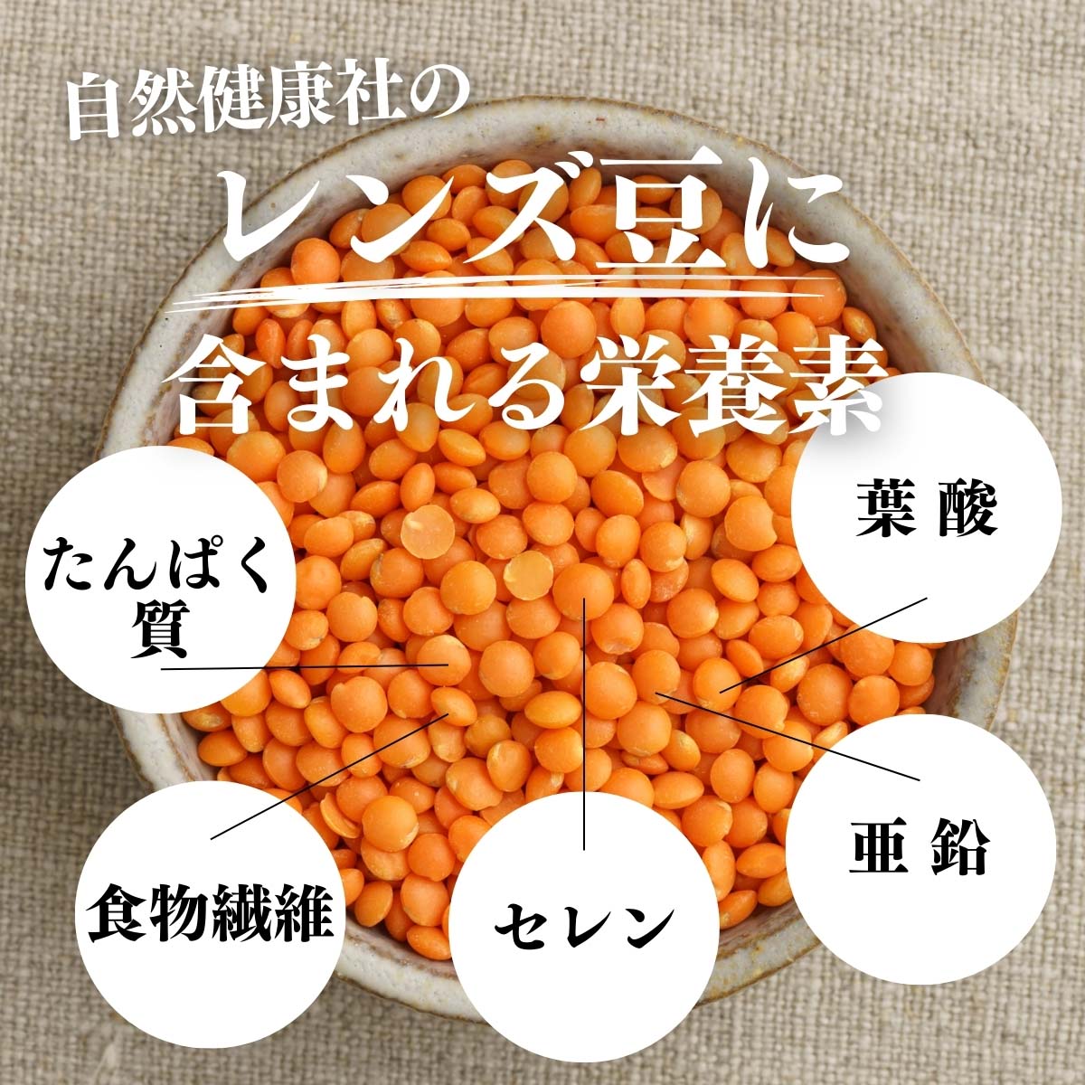 レンズ豆に含まれる栄養素
