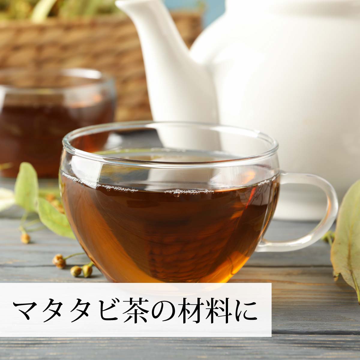 マタタビ茶の材料に