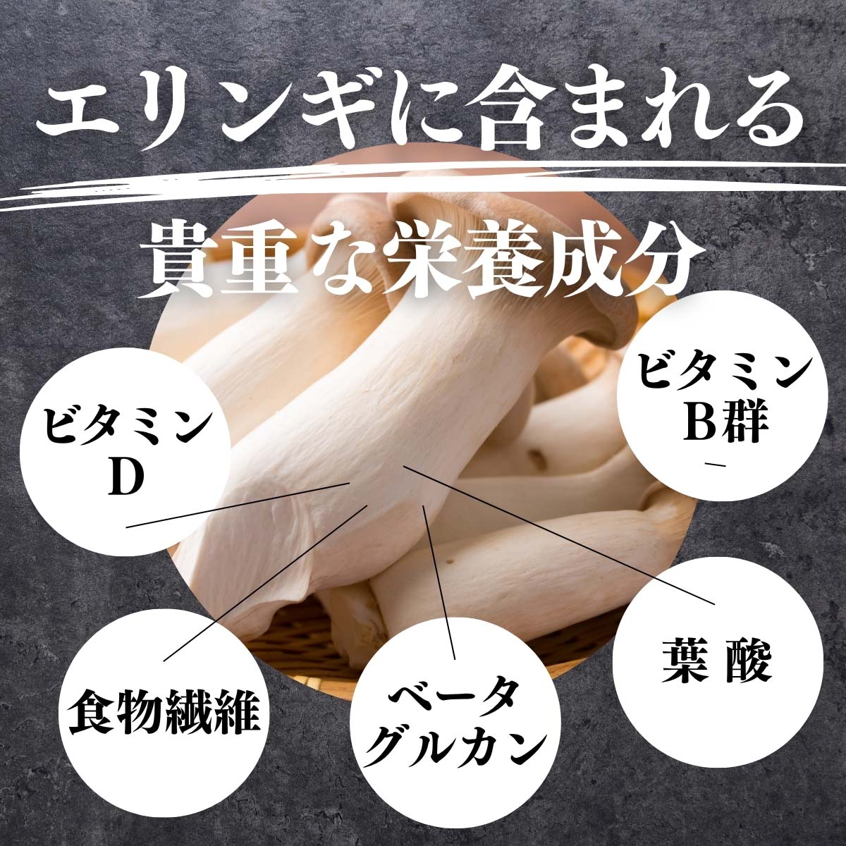 エリンギに含まれる貴重な栄養成分
