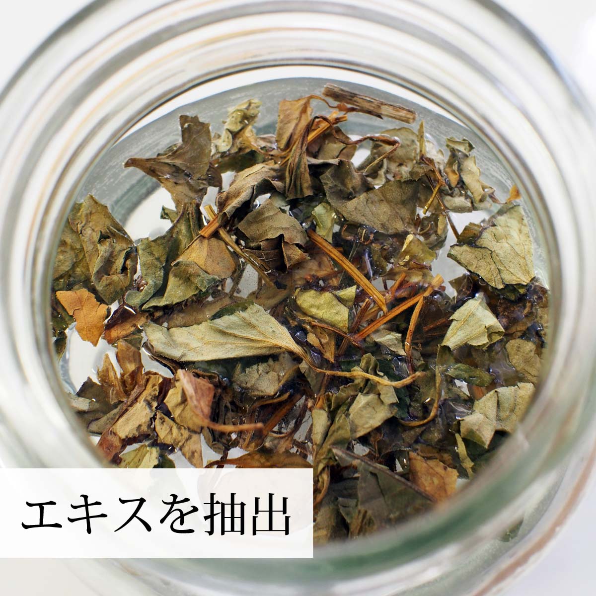 エキス抽出で化粧水の材料に