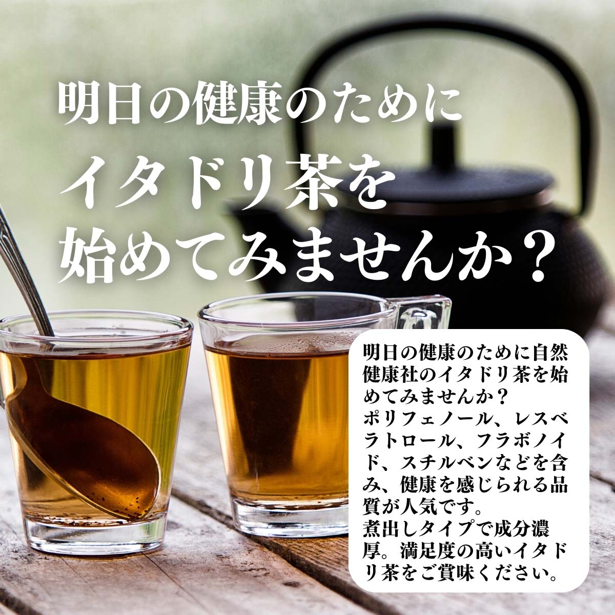 イタドリ茶を始めてみませんか？