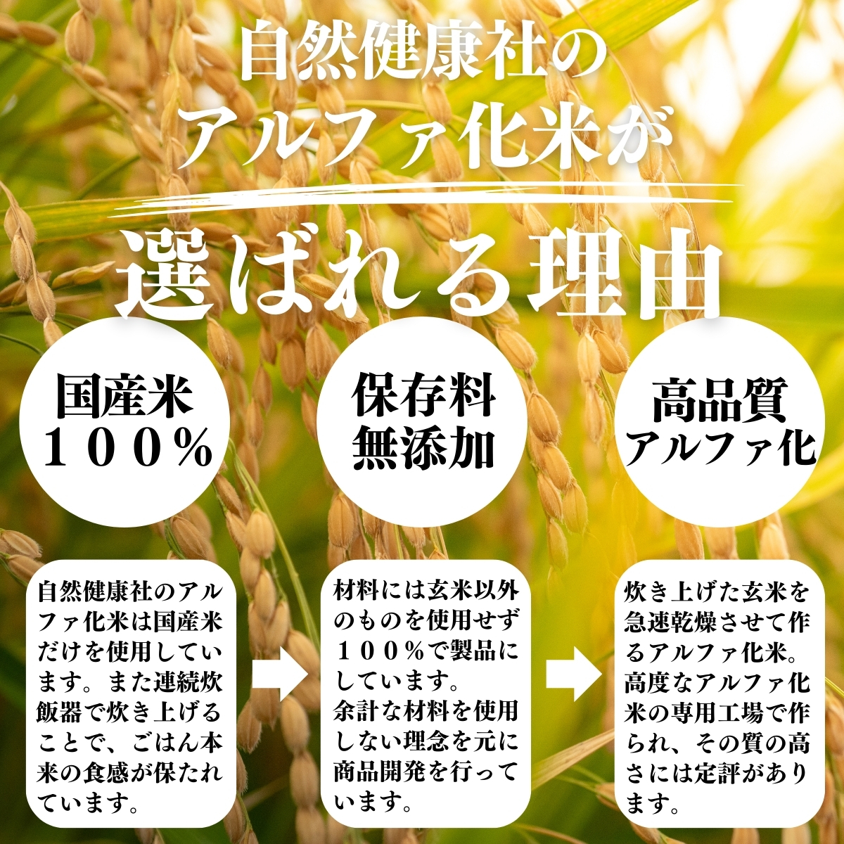 アルファ化米が選ばれる理由