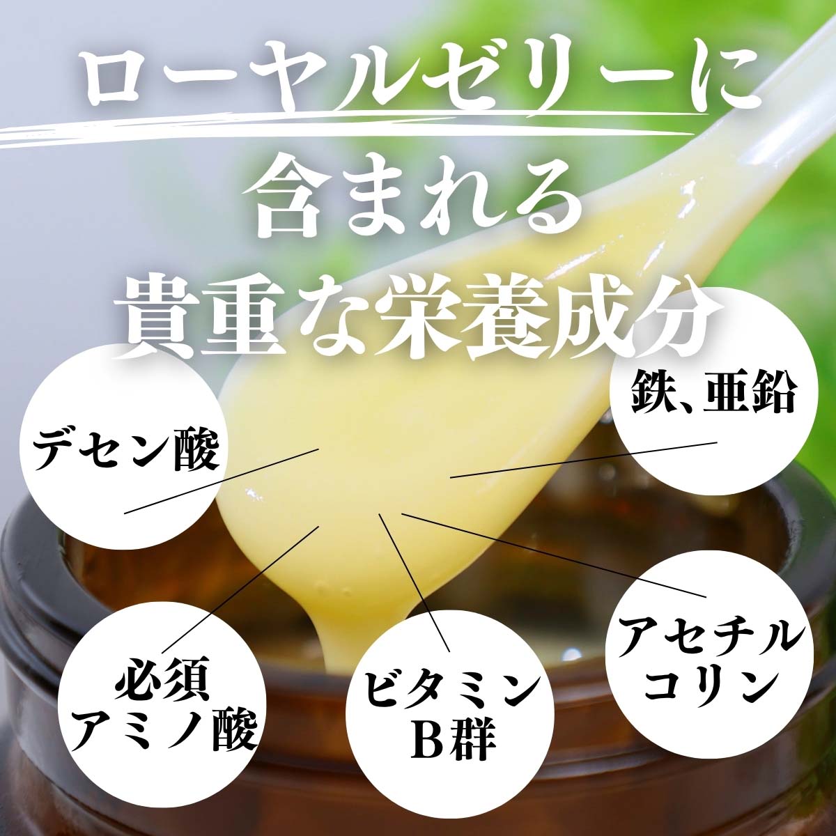 ローヤルゼリーに含まれる貴重な栄養成分