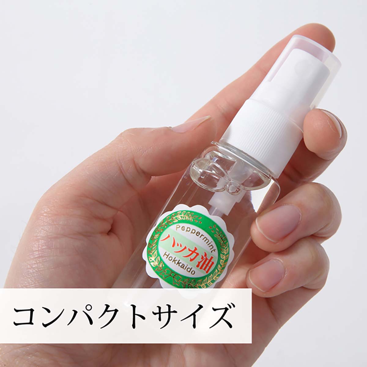 手のひらに収まるサイズ